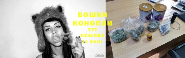 бошки Коряжма