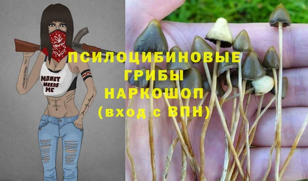 бошки Коряжма