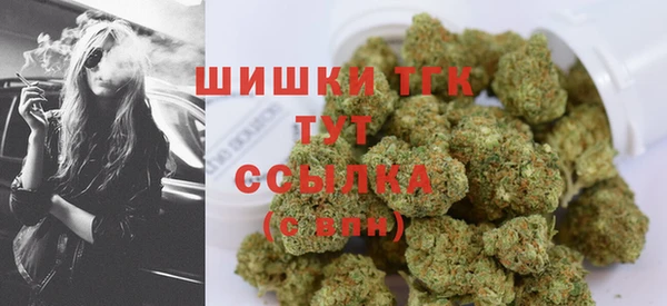 бошки Коряжма