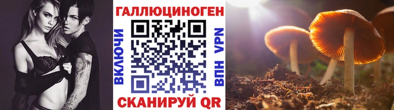 Галлюциногенные грибы прущие грибы  Купить где  Порхов 